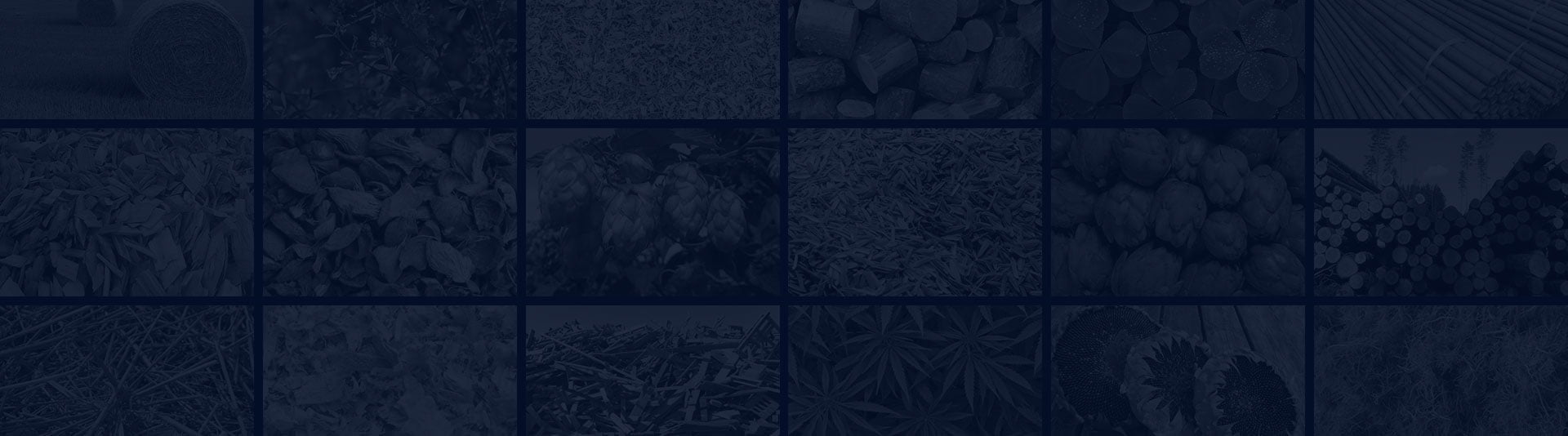 biomass-pellet-plant