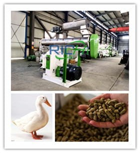 duck feed pellet machine