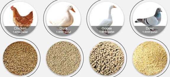 poultry feeds from poultry feed making machine