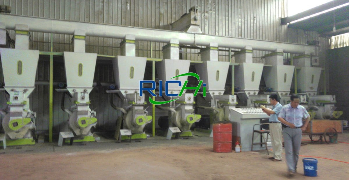 18-20TPH Biomass Fuel Pelletizing Factory Solution