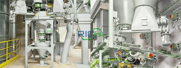 5T/H Bentonite Cat Litter Processing Line Project in China