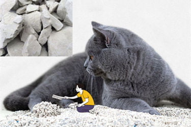 Bentonite cat litter production plant