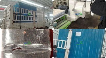 Thailand 3-5TH Organic Fertilizer Pellet Making Machine