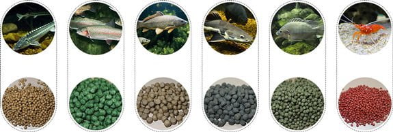 floating fish feed pellets