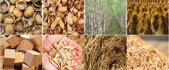 fuel pellet plant materials