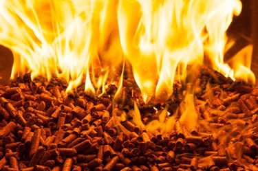fuel pellet plant solution