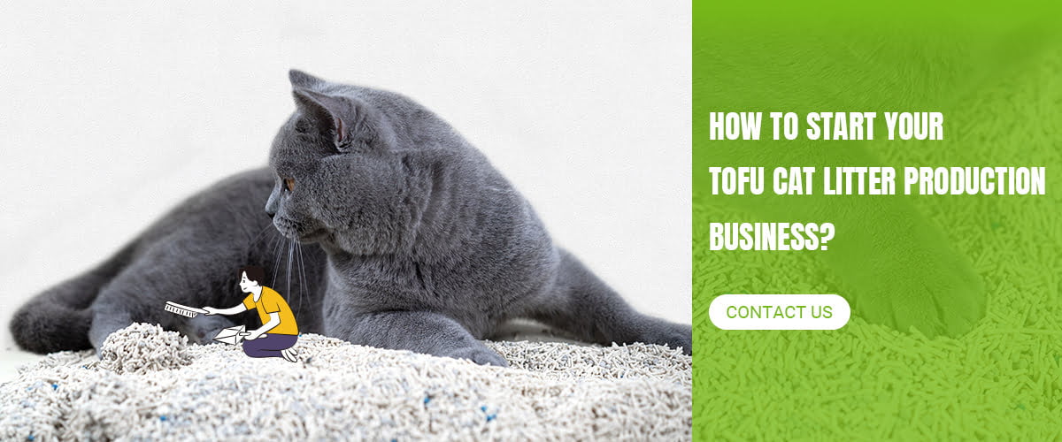 how to start tofu cat litter production business