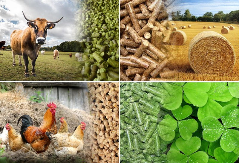 pelleting plant applications