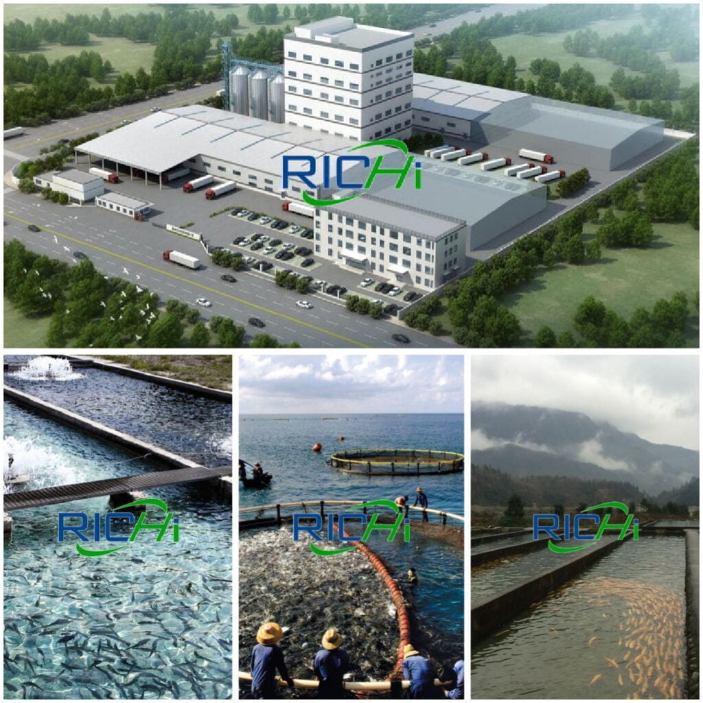 Iran-floating-shrimo-feed-production-line-for-sale