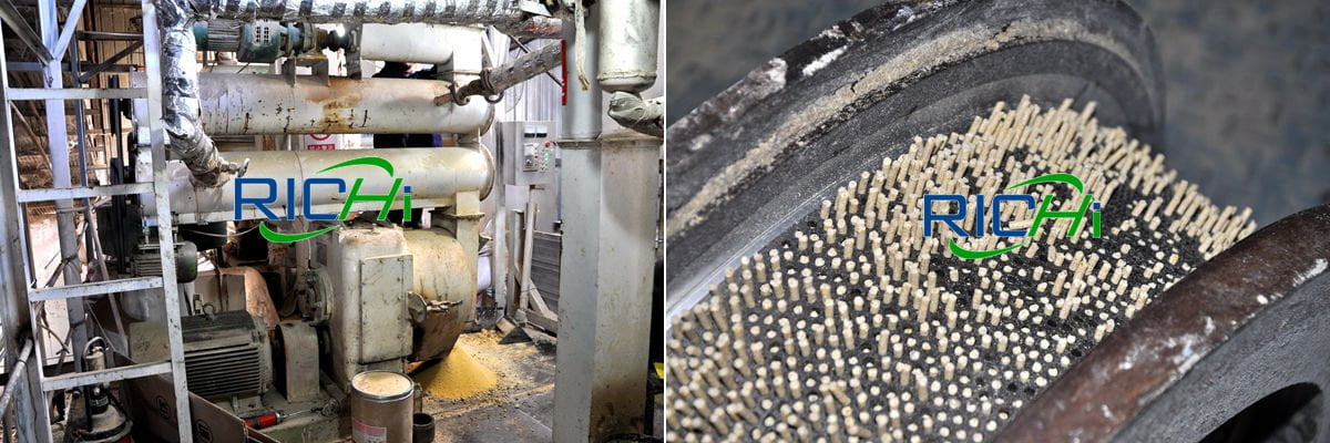 cattle-feed-plant-price-animals-that-feeds-on-plants-fish-feed-manufacturing-plant-project-report