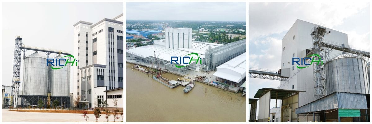 sinking fish feed production line