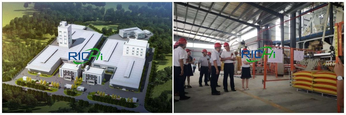 fish feed production plant project
