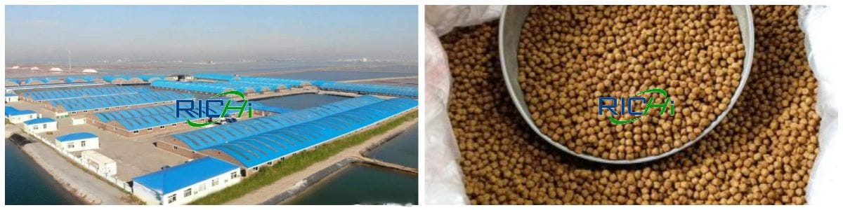 floating fish feed processing line fish feed machine price in nigeria