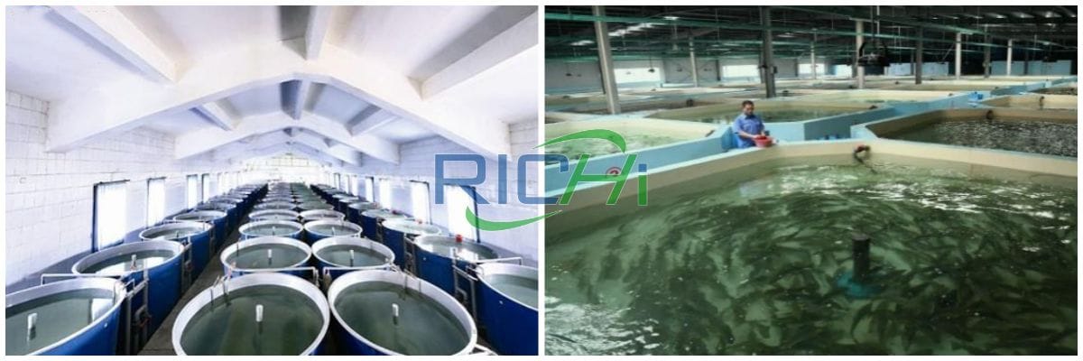 how to produce fish food floating fish feed production line