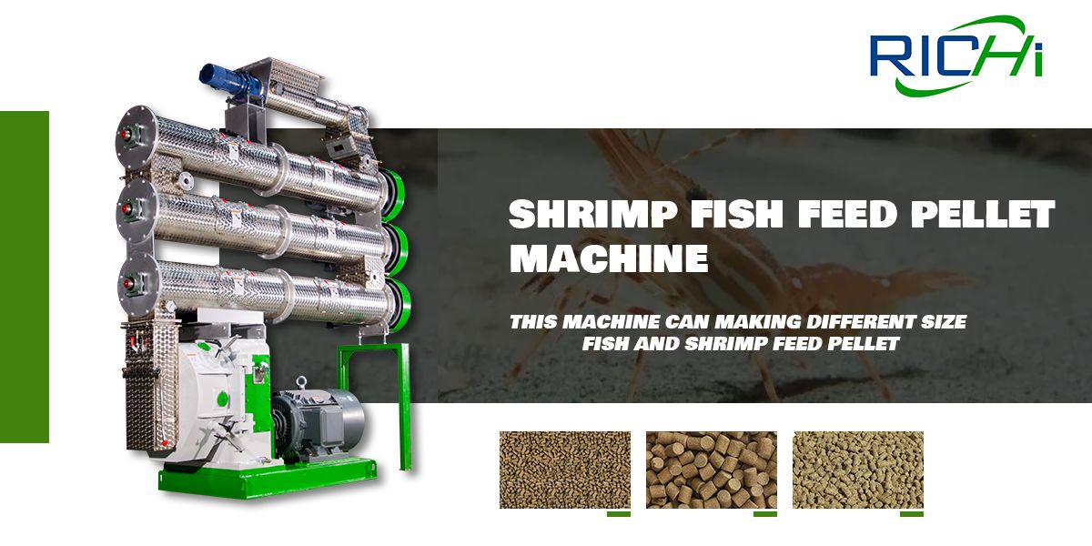 prawn shrimp feed pellet machine manufacturer in china