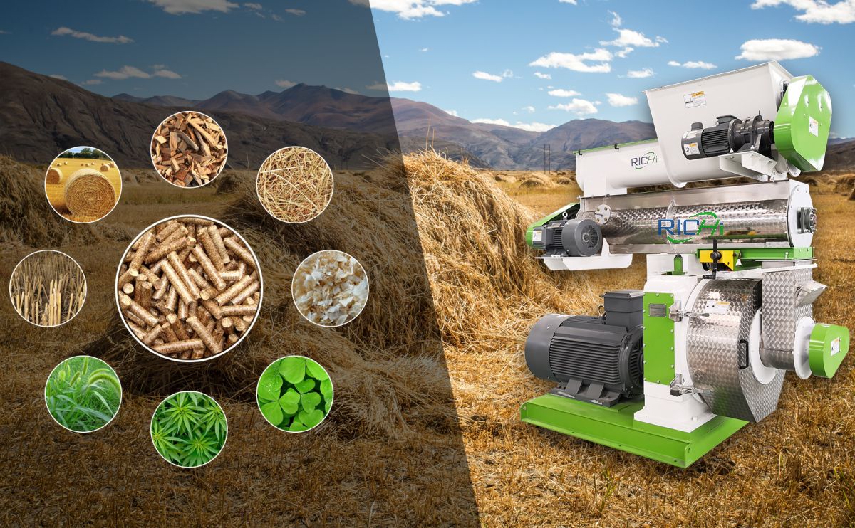 biomass wood straw grass pellet mill for sale