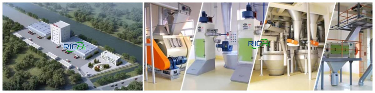 fish feed pellet plant projects