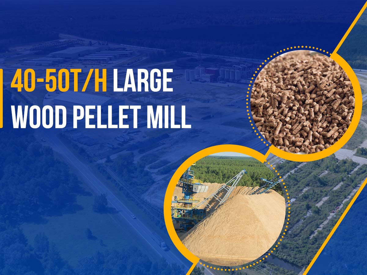A 40-50tph large wood pellet mill