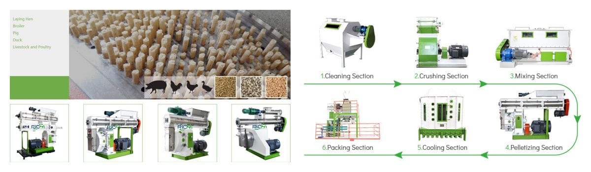 poultry feed pellet making machine animal feed pellet making machine south africa
