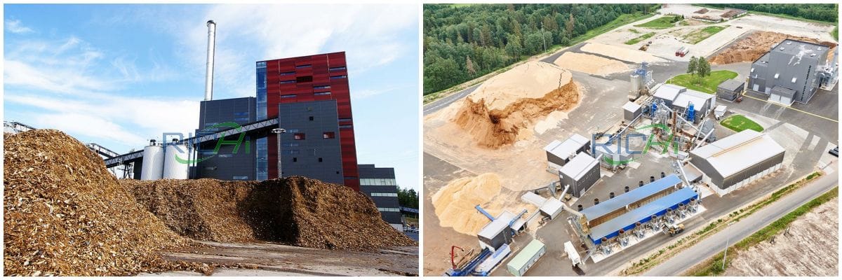 biomass pelletizing plant design
