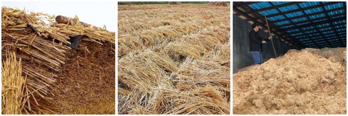 straw materials