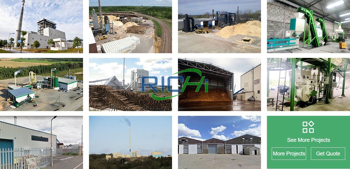 richi wood straw pelletizing project