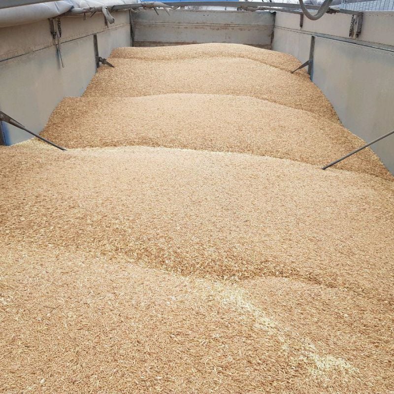 sawdust for pellet machine 6 tons