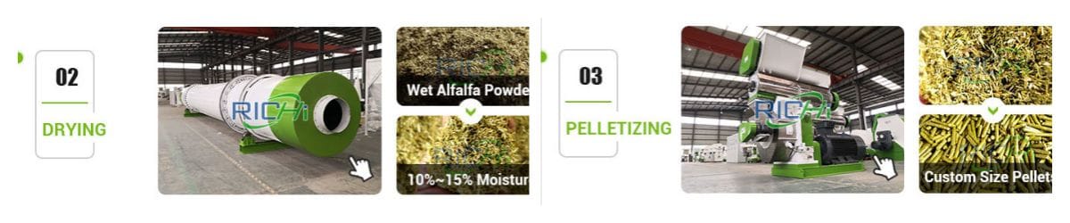alfalfa pellet production line drying and pelleting