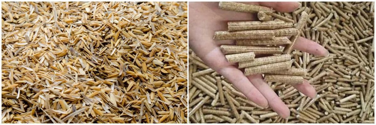 rice husk pellets