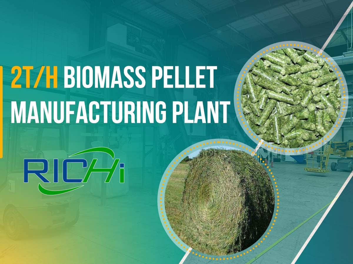 2TPH BIOMASS pellet manufacturing plant cost