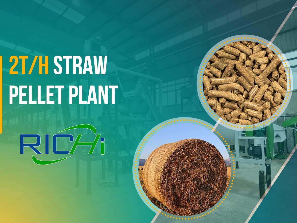 2TPH straw pellet plant process