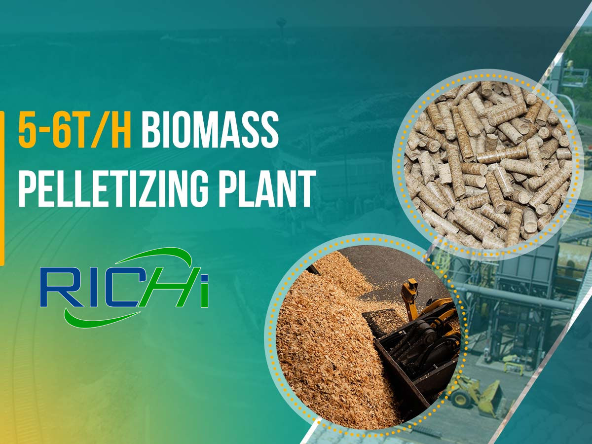 5-6TPH BIOMASS pelletizing plant cost