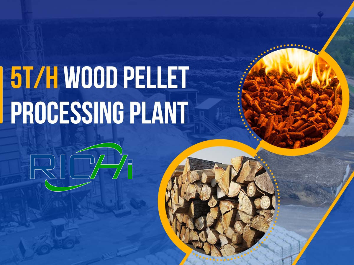 5TPH Wood pellet processing plant for sale