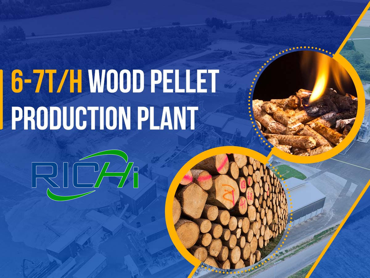 6-7TPH Wood pellet production plant for sale