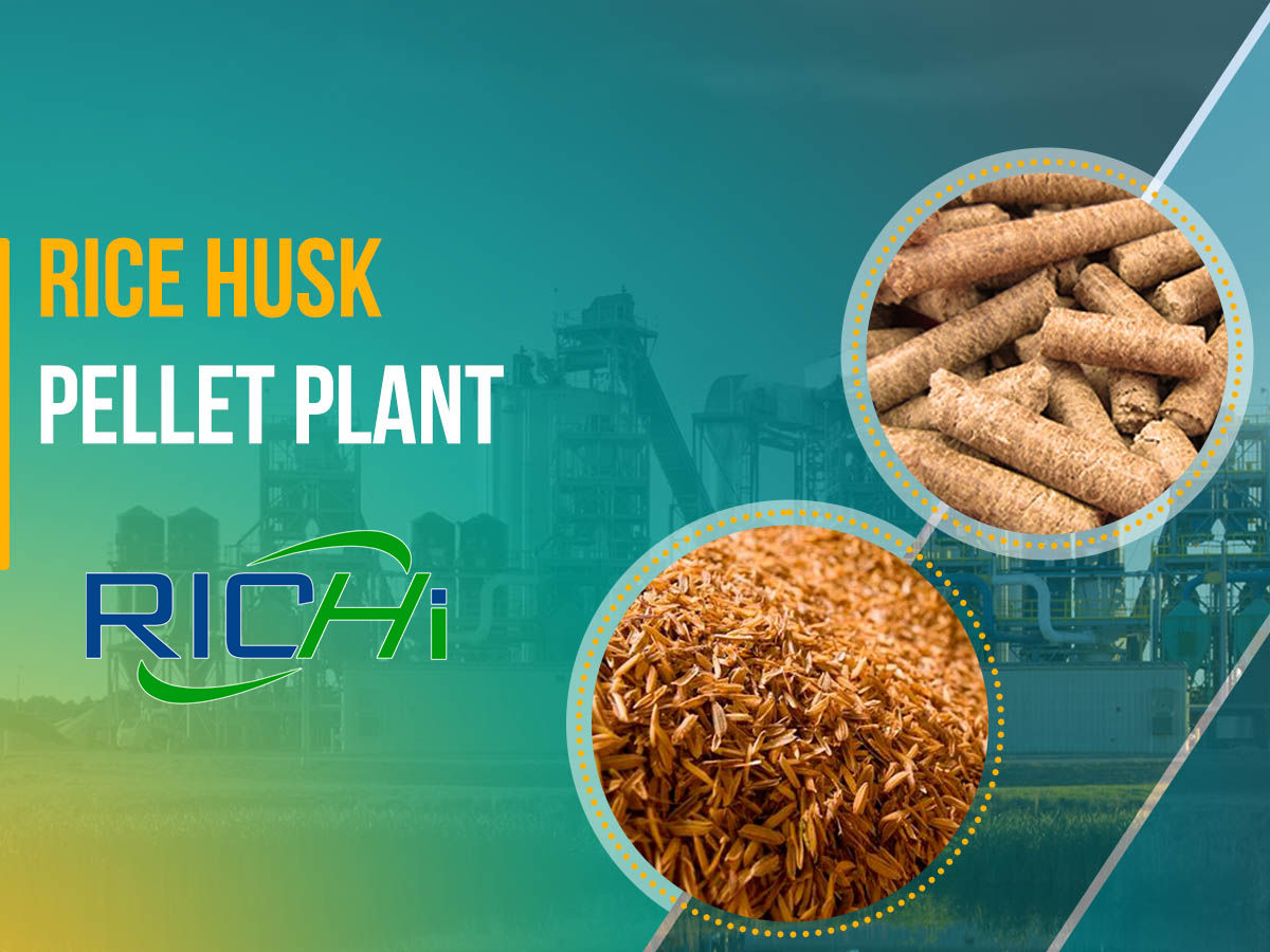 complete rice husk pellet palnt price