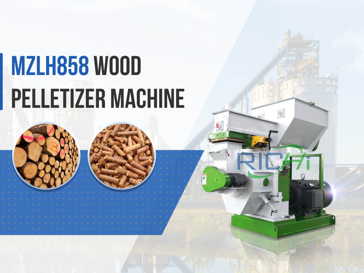 MZLH858 complete Wood pelletizer machine