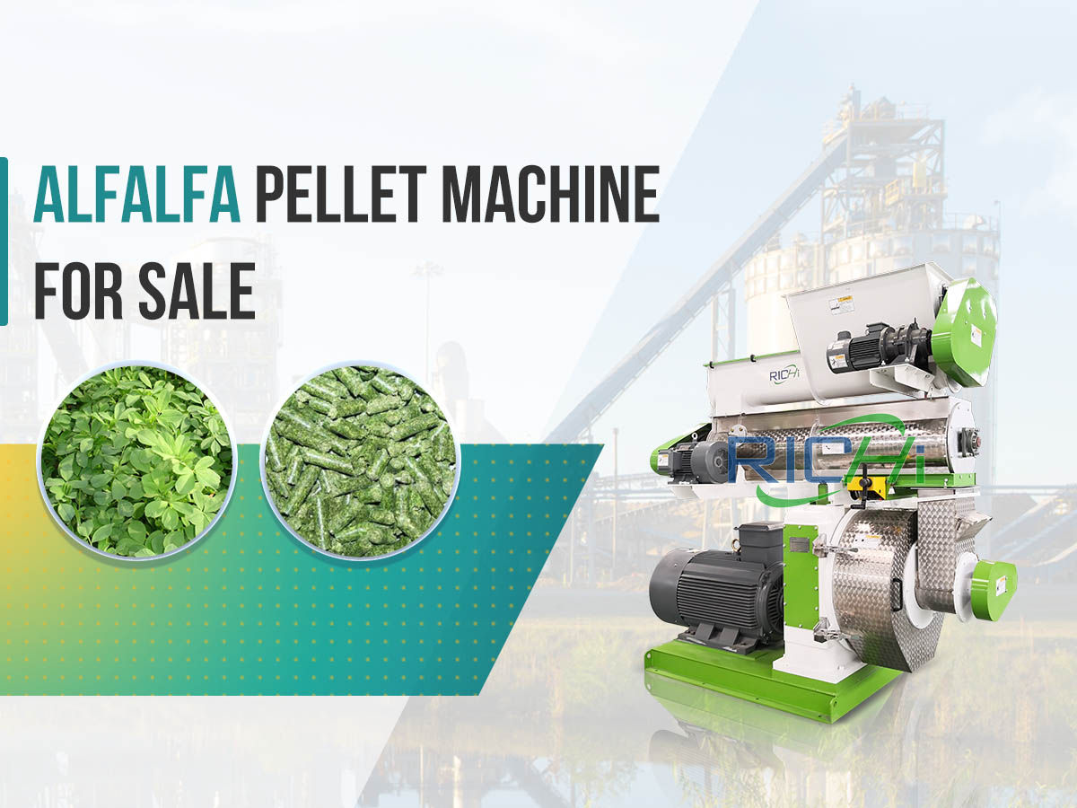 complete 1-10tph alfalfa pellet machine for sale