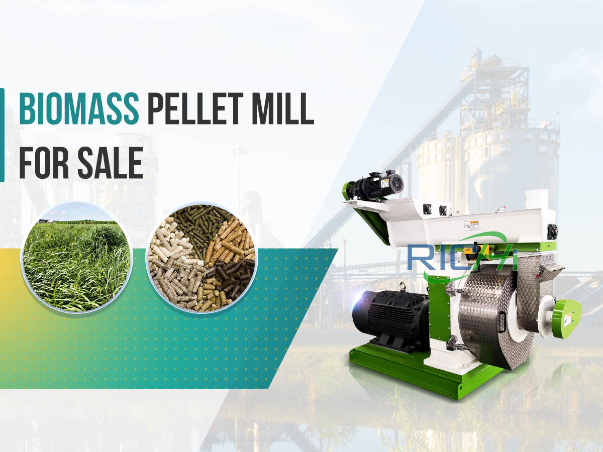 complete biomass pellet mill for sale