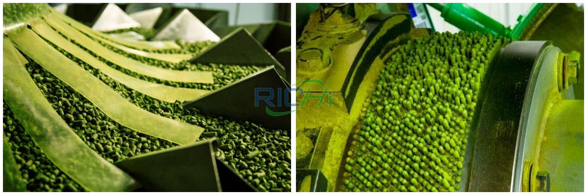 hop Pelleting plant design