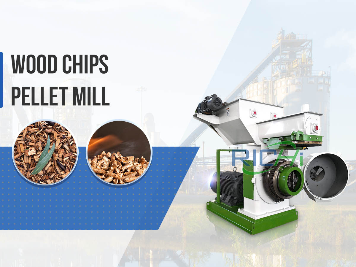 Complete Wood Chips Pellet Mill Machine