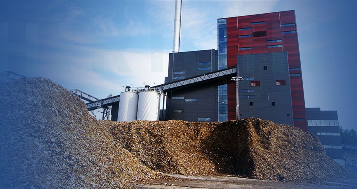 4T/H biomass pellet line solution