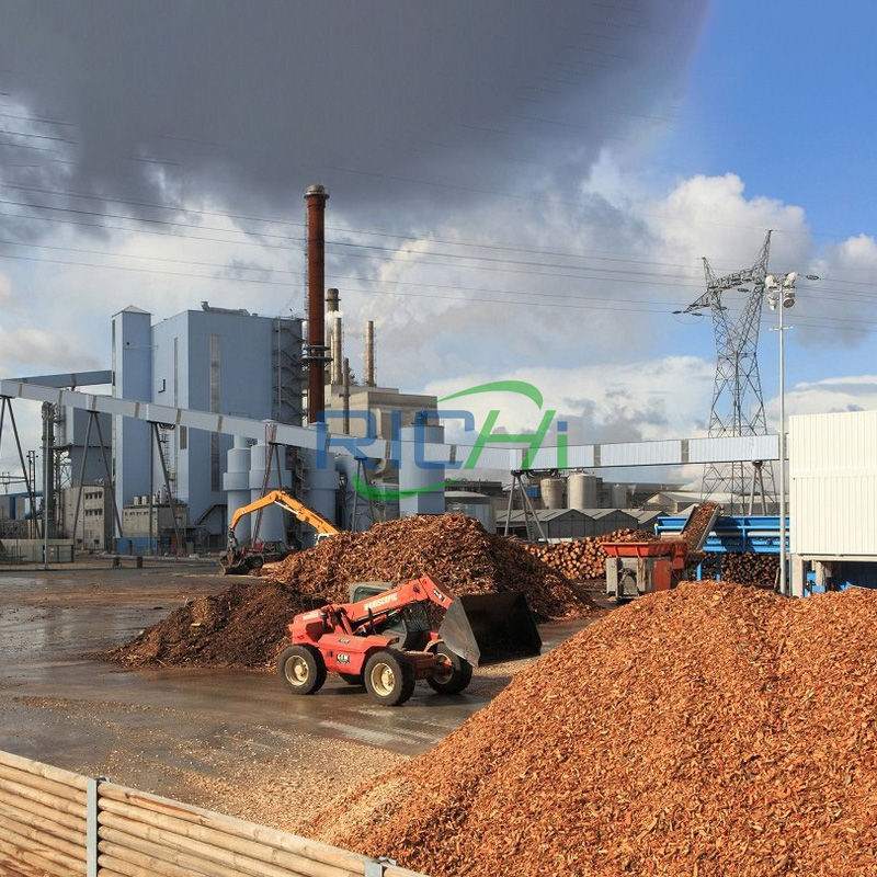 Starting Your Biomass Pellet Production With Richi Machinery