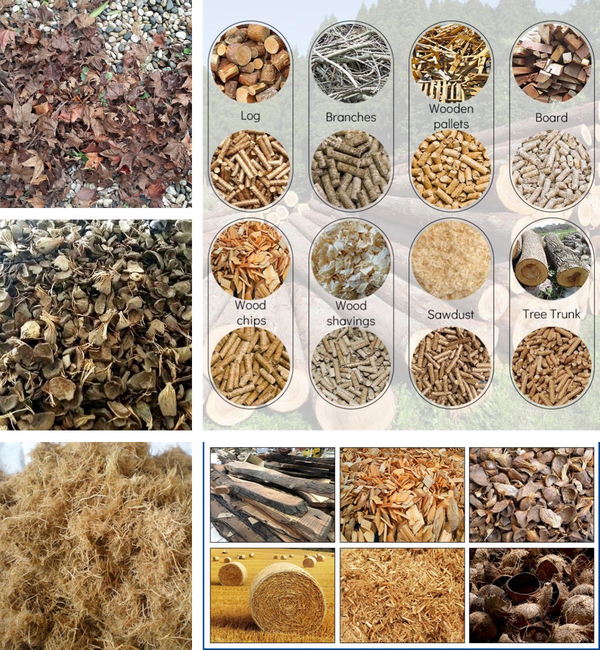RAW MATERIALS USED FOR Wood PELLETING