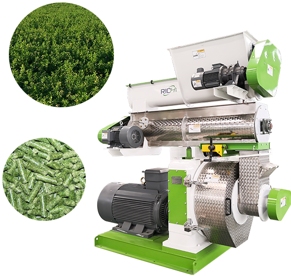 cattle feed & pellet machine