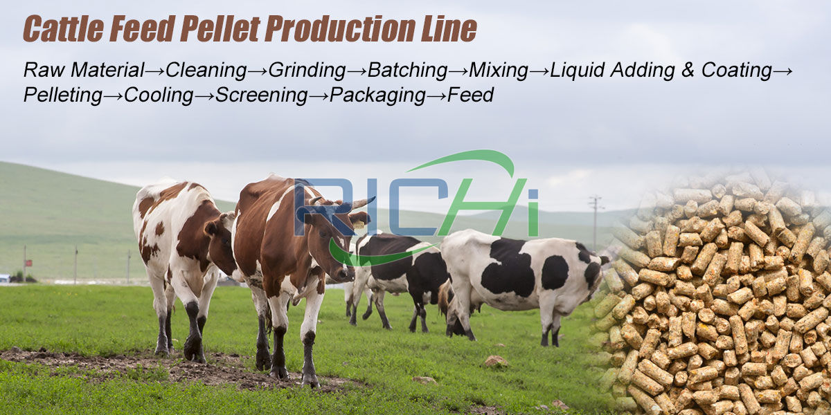 cattle feed production process