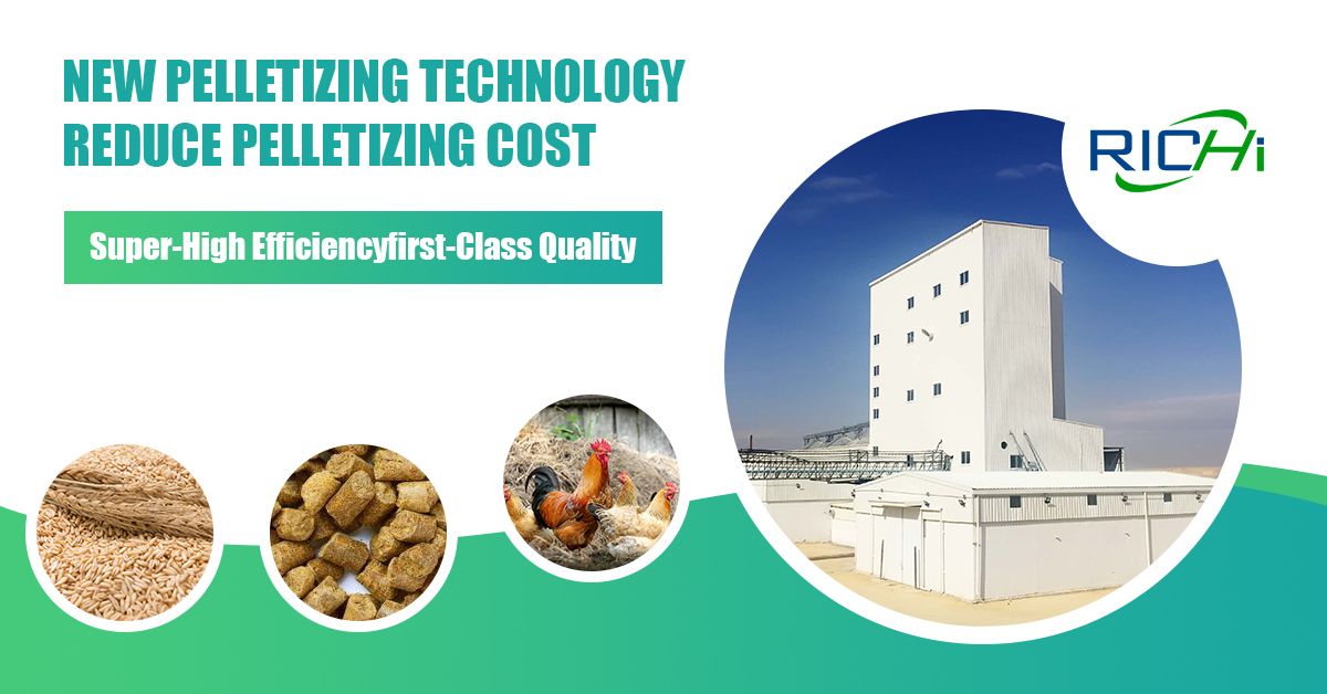 poultry chicken feed manufacturing plant construction