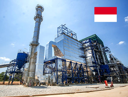 1-20tph wood pellet plant in Indonesia