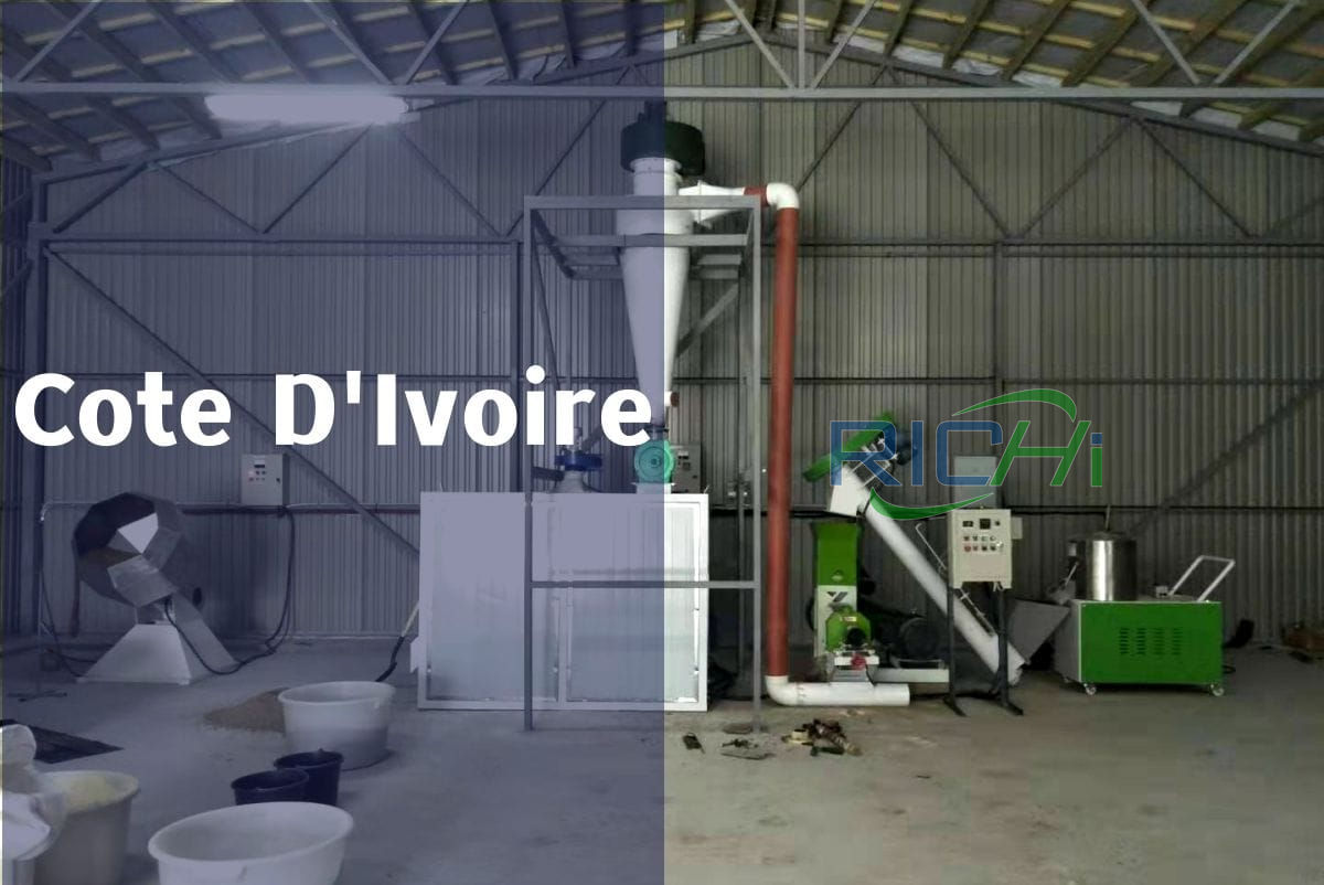Pellet Machine In Cote D'Ivoire 1-20tph