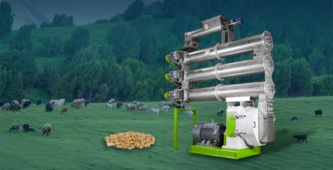 animal poultry chicken cattle aqua feed pellet mill