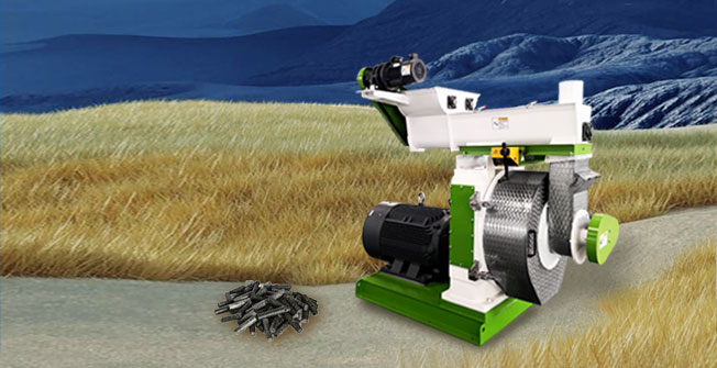 biomass fuel pellet machine for sale